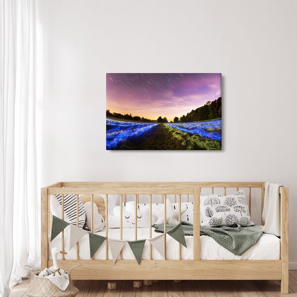 Slika polja u boji (90x60 cm)