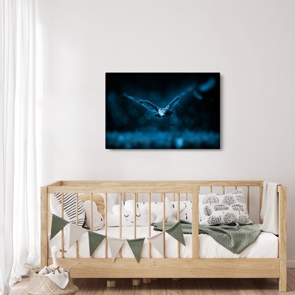 Slika leteće sove (90x60 cm)