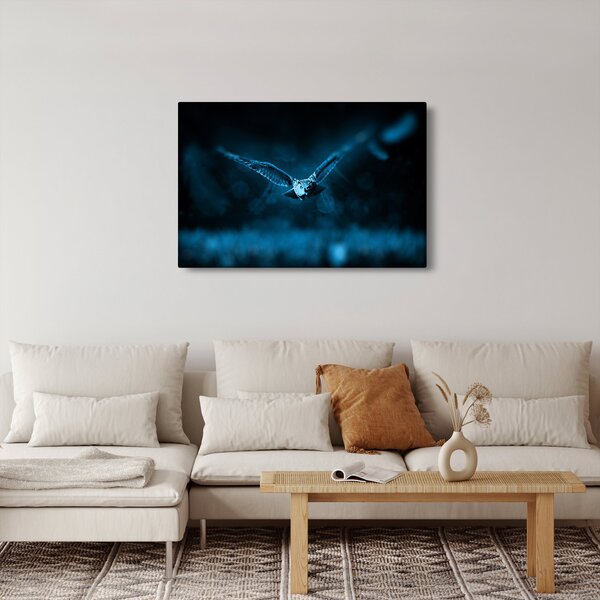 Slika leteće sove (90x60 cm)