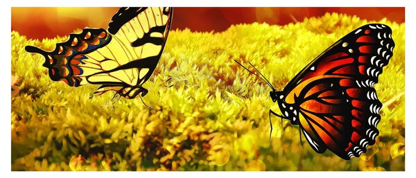Slika leptira (120x50 cm)