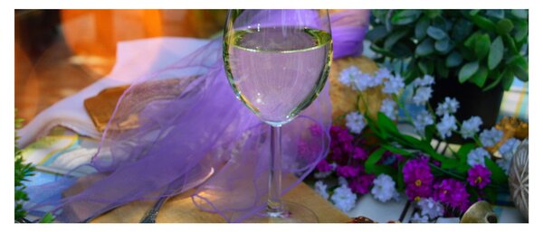 Slika piknika (120x50 cm)