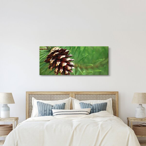 Slika češera (120x50 cm)