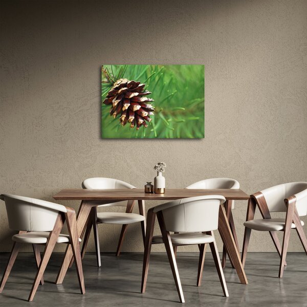 Slika češera (70x50 cm)