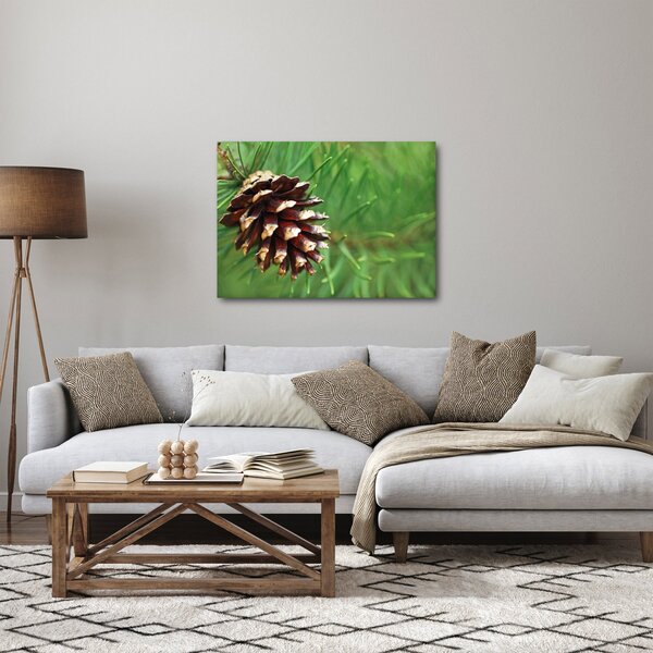Slika češera (70x50 cm)