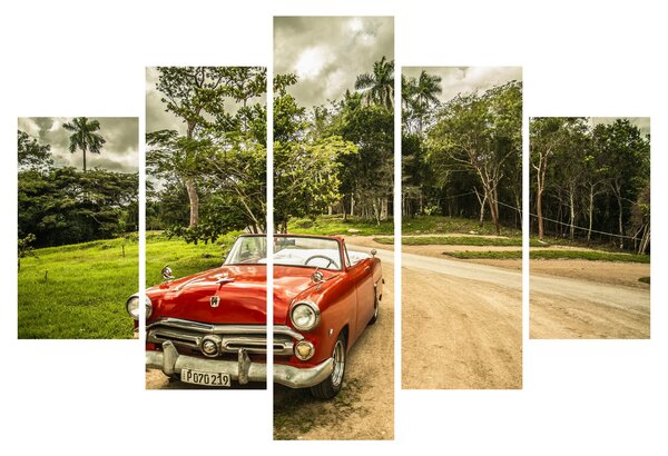 Slika - veteranski automobil u prirodi (150x105 cm)