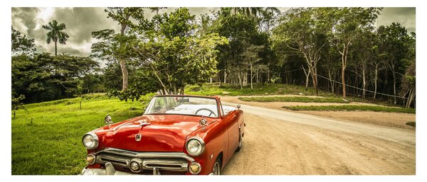 Slika - veteranski automobil u prirodi (120x50 cm)