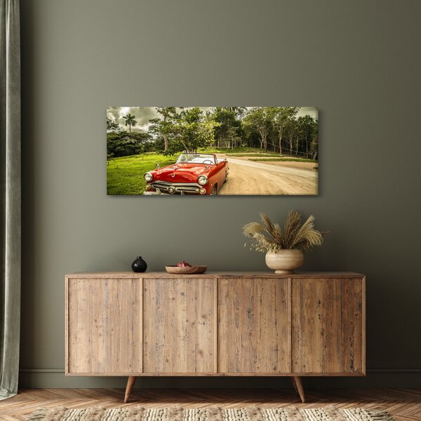 Slika - veteranski automobil u prirodi (120x50 cm)