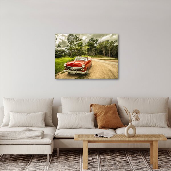 Slika - veteranski automobil u prirodi (70x50 cm)