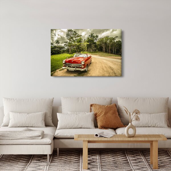 Slika - veteranski automobil u prirodi (90x60 cm)