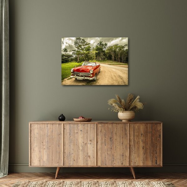 Slika - veteranski automobil u prirodi (70x50 cm)