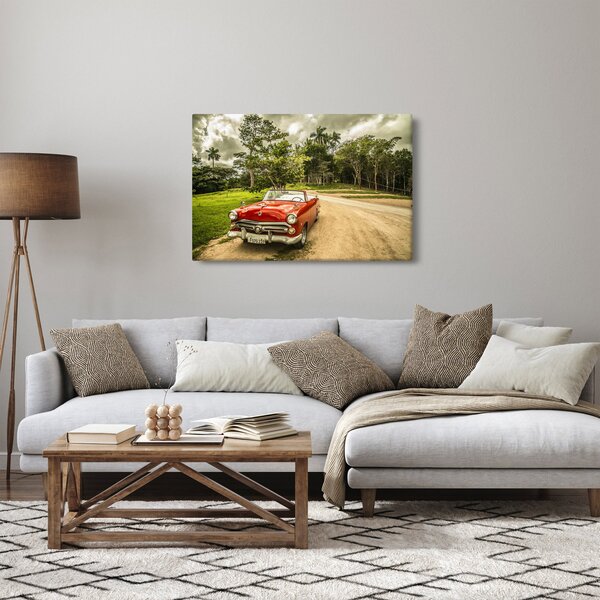Slika - veteranski automobil u prirodi (90x60 cm)