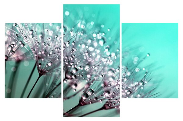 Slika - rosna biljka (90x60 cm)