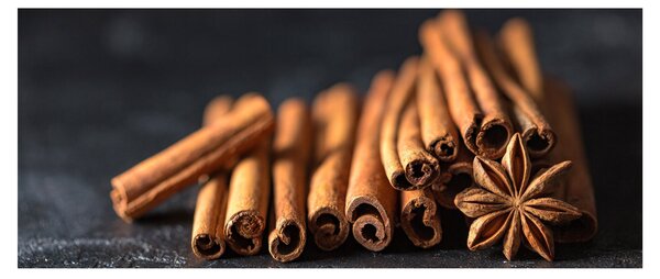 Slika cimeta (120x50 cm)