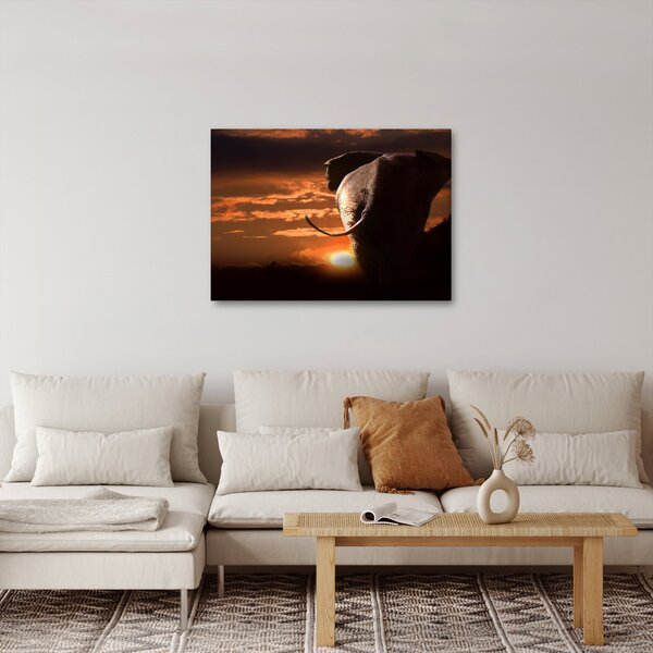Slika slona (70x50 cm)