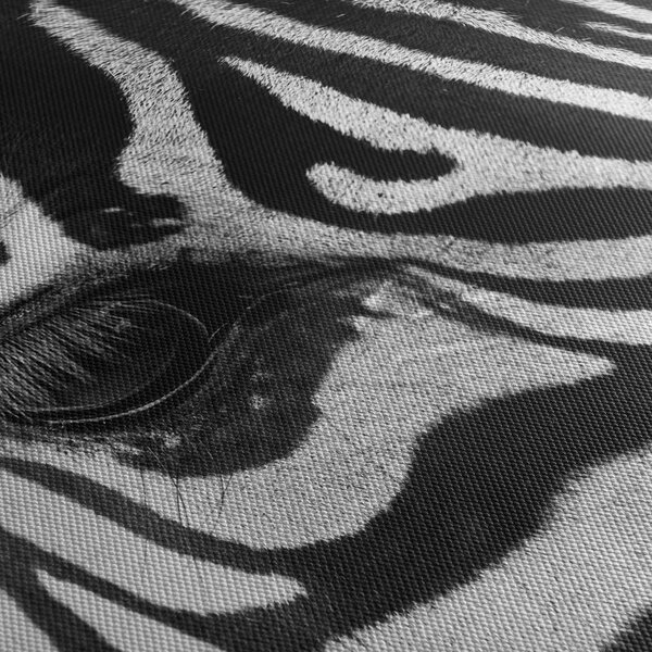 Slika zebre (90x60 cm)
