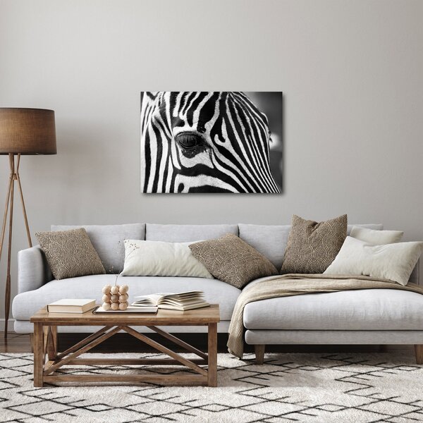 Slika zebre (70x50 cm)