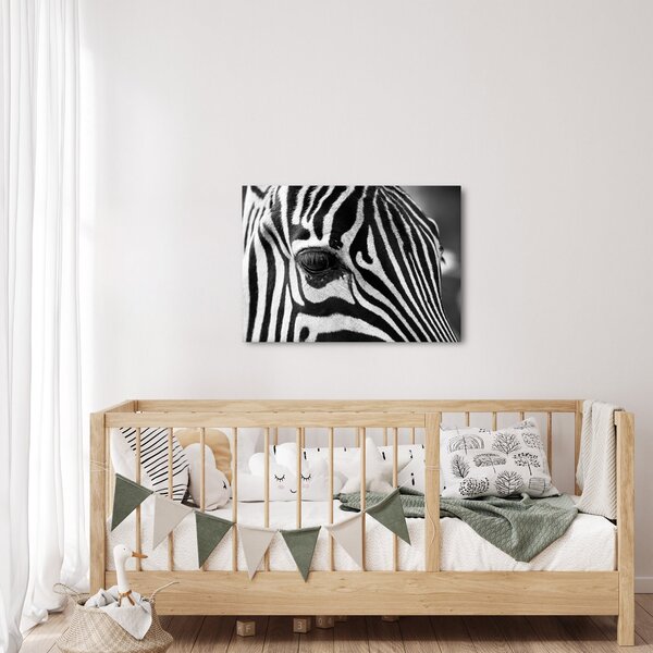 Slika zebre (70x50 cm)