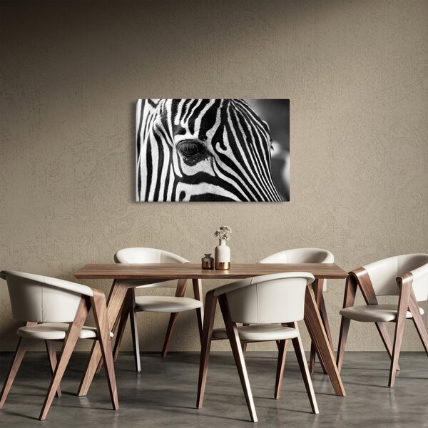 Slika zebre (90x60 cm)