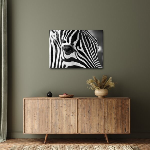 Slika zebre (70x50 cm)