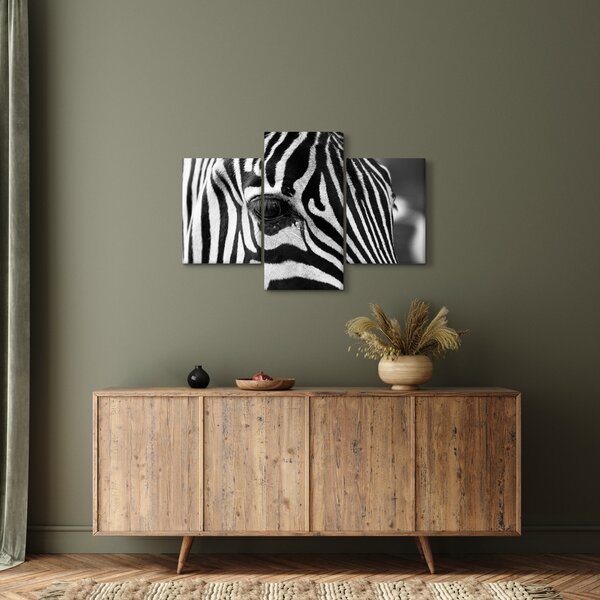 Slika zebre (90x60 cm)