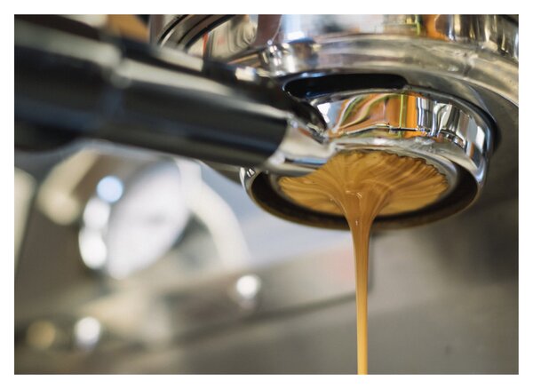 Slika - espresso (70x50 cm)