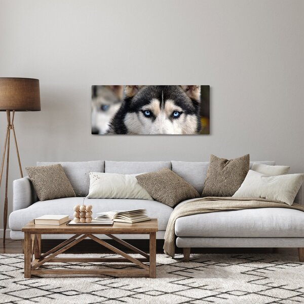 Slika haski psa (120x50 cm)