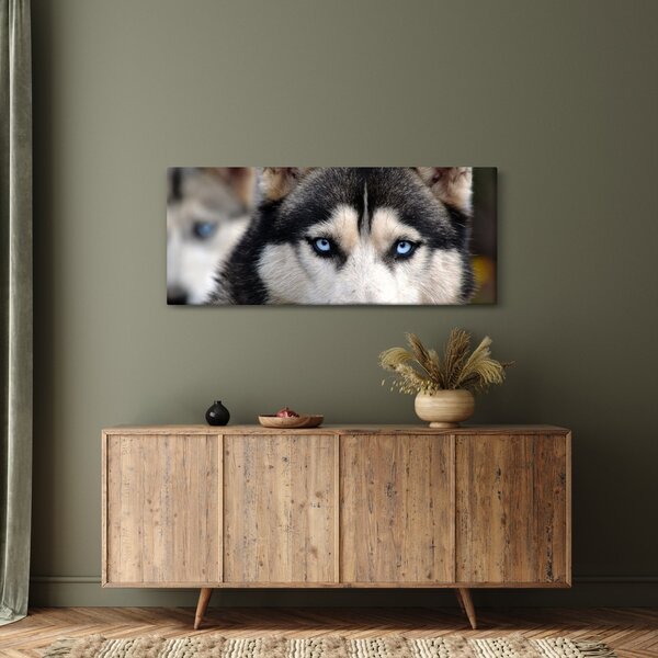 Slika haski psa (120x50 cm)
