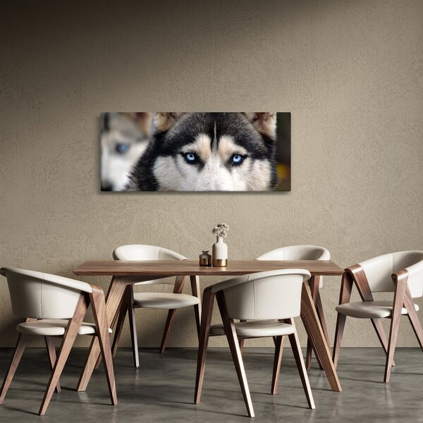 Slika haski psa (120x50 cm)
