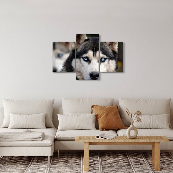 Slika haski psa (90x60 cm)