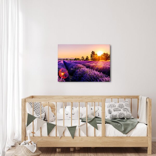 Slika polja lavande (70x50 cm)