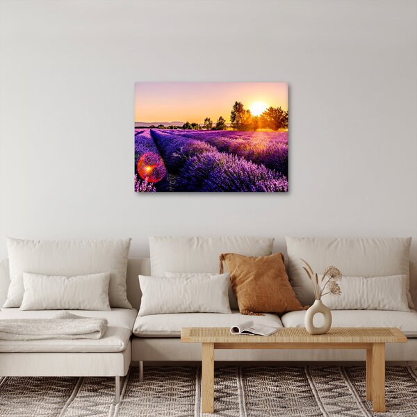 Slika polja lavande (70x50 cm)