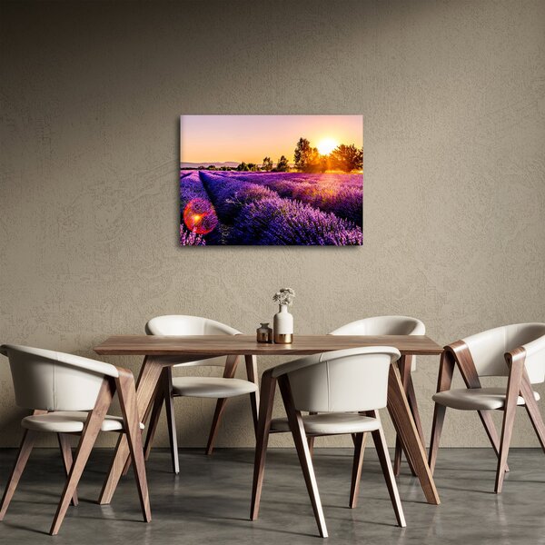 Slika polja lavande (70x50 cm)