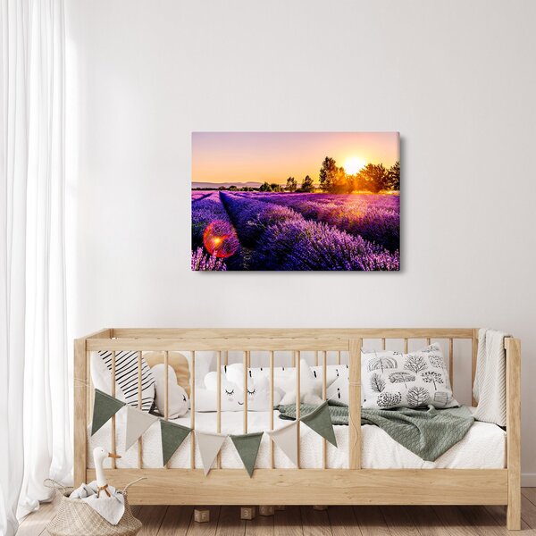 Slika polja lavande (90x60 cm)