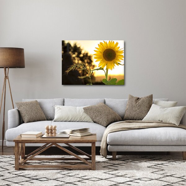 Slika suncokreta (70x50 cm)