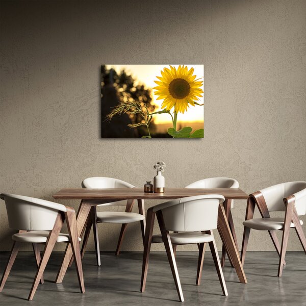 Slika suncokreta (70x50 cm)