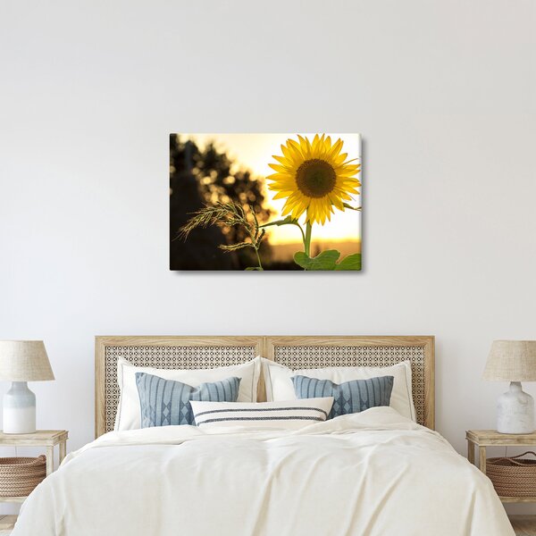 Slika suncokreta (70x50 cm)