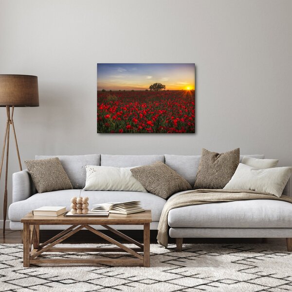 Slika livade s makovima (70x50 cm)