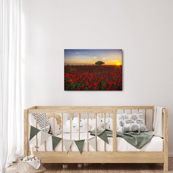 Slika livade s makovima (70x50 cm)