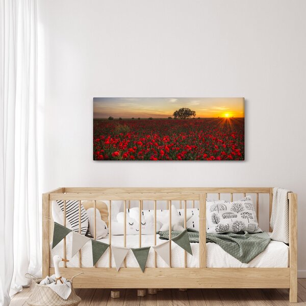 Slika livade s makovima (120x50 cm)