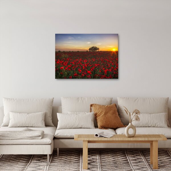 Slika livade s makovima (70x50 cm)