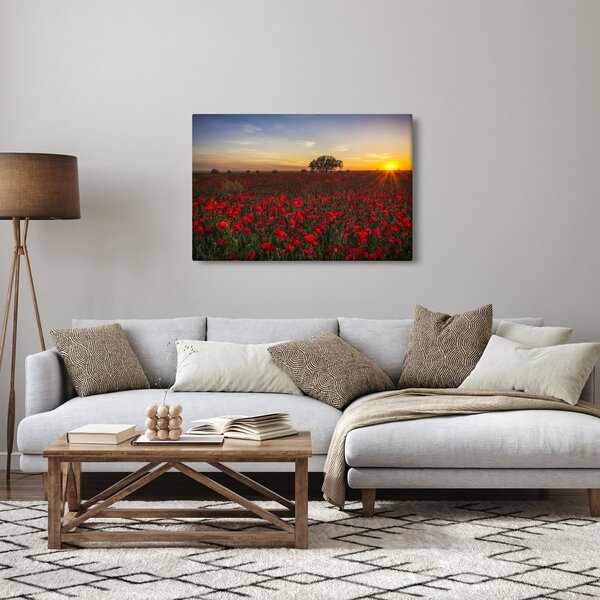 Slika livade s makovima (90x60 cm)