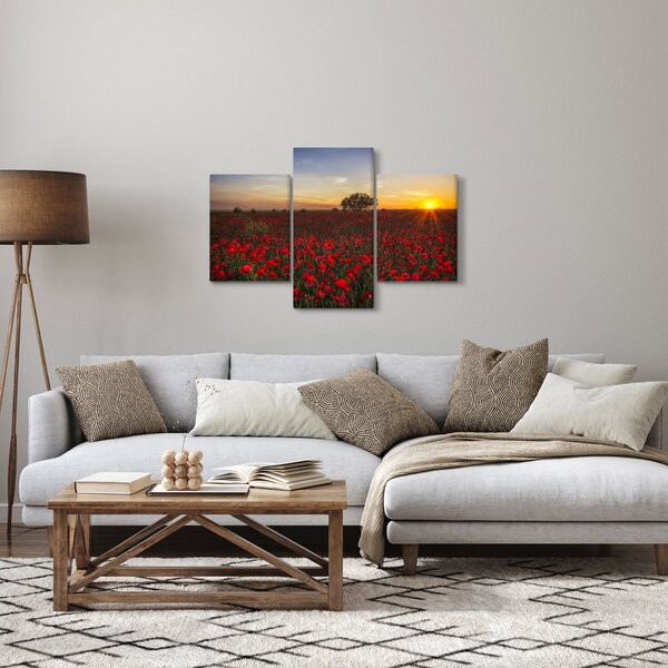Slika livade s makovima (90x60 cm)