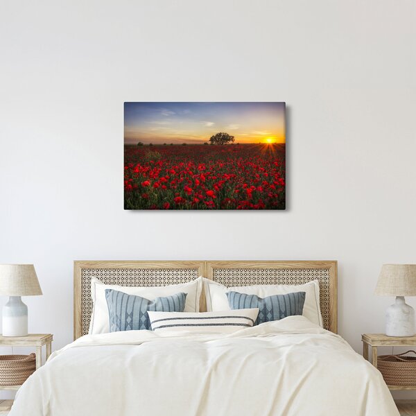 Slika livade s makovima (90x60 cm)