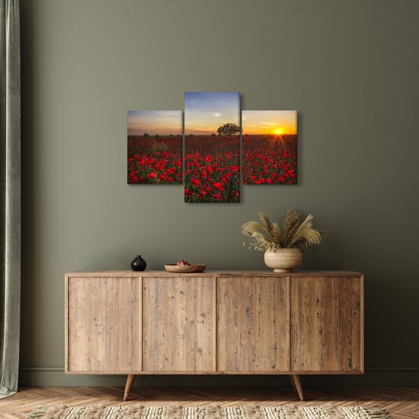 Slika livade s makovima (90x60 cm)