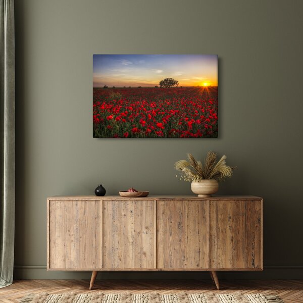 Slika livade s makovima (90x60 cm)