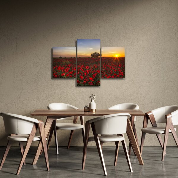 Slika livade s makovima (90x60 cm)