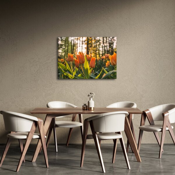Slika - narančasti tulipani (70x50 cm)