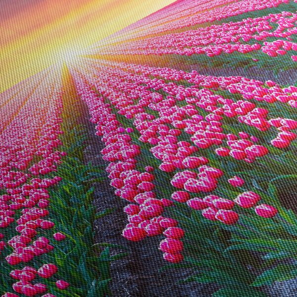 Slika polja tulipana sa suncem (120x50 cm)