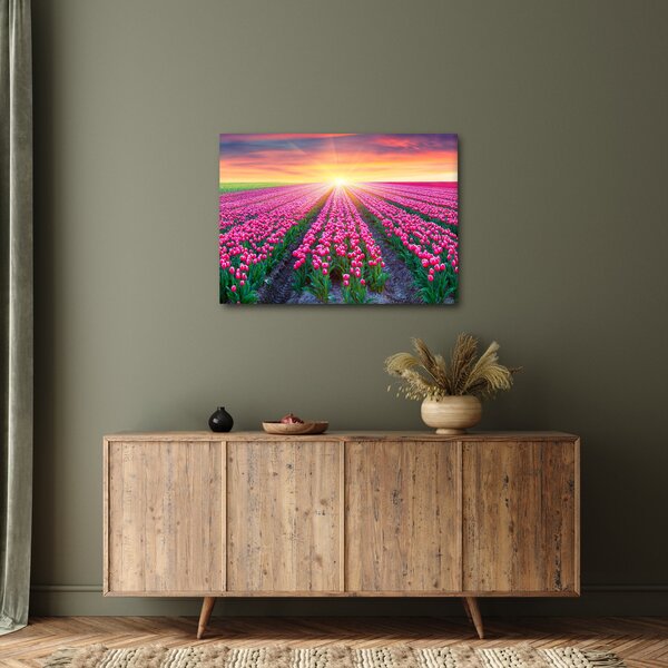 Slika polja tulipana sa suncem (70x50 cm)