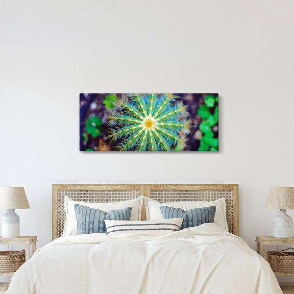 Slika kaktusa (120x50 cm)
